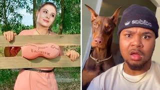 Эти забавные животные