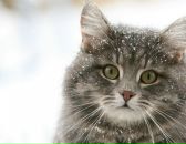 Фотография Пупыриной Марины