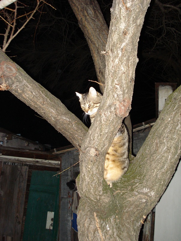 Ян Стулов фотография #38