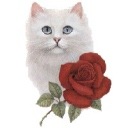 Віта Сокур фотография #9 (источник - https://vk.com/id106336815)