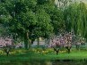 Настя Євдощук фотография #17 (источник - https://vk.com/id163610702)