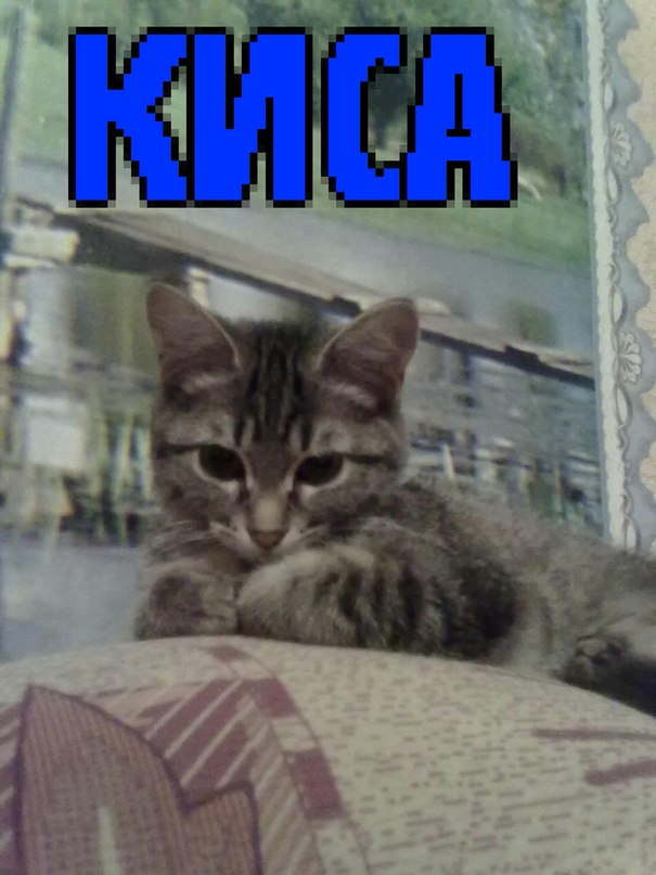 Сеня Хамируев фотография #10