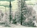 Олічка Грицина фотография #3 (источник - https://vk.com/id145502309)