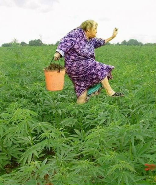 Иль Иль-Ты фото №45