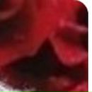 Пєтя Сверба фотография #45 (источник - https://vk.com/id19829246)