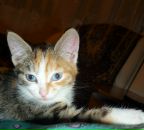 Фотография Дыжиной Анастасии