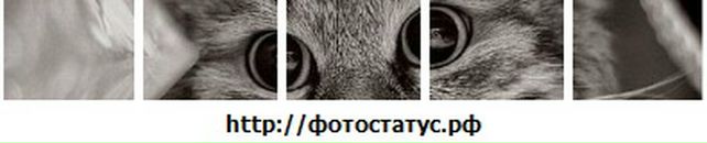 Ріта Вереснюк фотография #42 (источник - https://vk.com/id34647011)