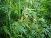 Фотография Окуловой Елены