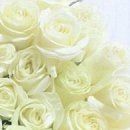 Оля Дідула фотография #23 (источник - https://vk.com/id154404555)