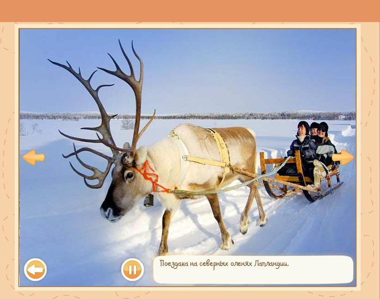 ***софья *** фото №14