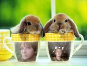 Рижик Івано4ка фотография #6 (источник - https://vk.com/id73274965)