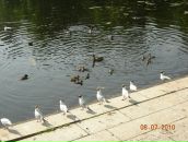 Фотография Ефимов Алексей