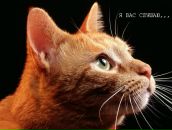 Фотография Максимовой Елены