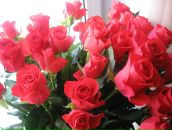 Фотография Маковой Марины