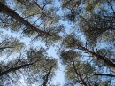 Наталі Криворучко фотография #29 (источник - https://vk.com/id42236716)