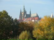Фотография Гребневой Олюшки