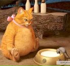 Фотография Александровой Инны