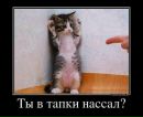Андрій Набок фотография #41 (источник - https://vk.com/id347828005)