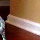 Віка Федоронько фотография #44 (источник - https://vk.com/id133797394)