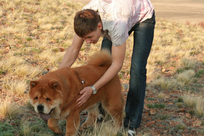 Orlov Ivan фотография #33