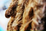 Фотография Клубкова Аня