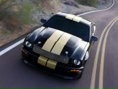 Фотография Красотки Ксю