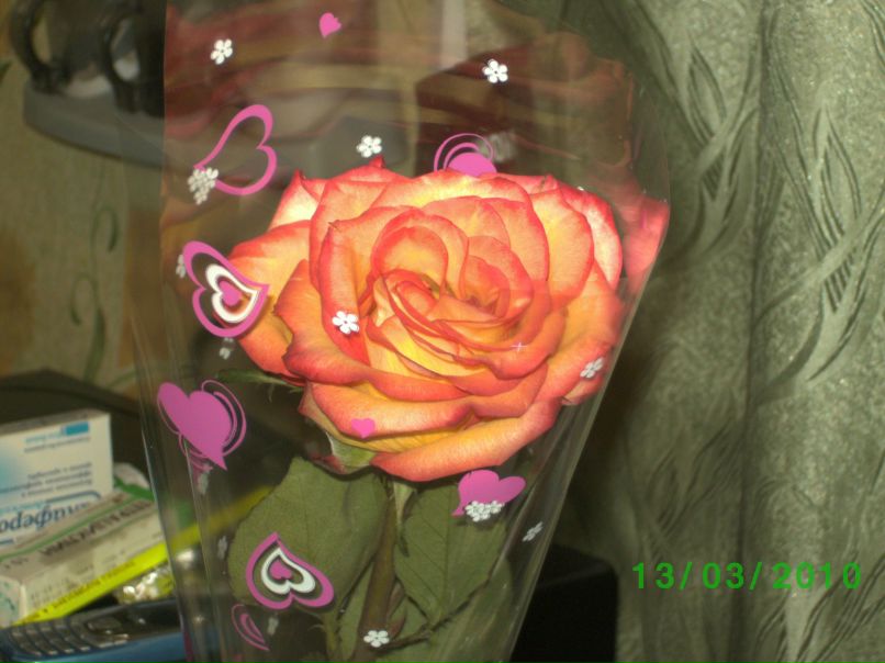 Алия Муртазина фотография #28