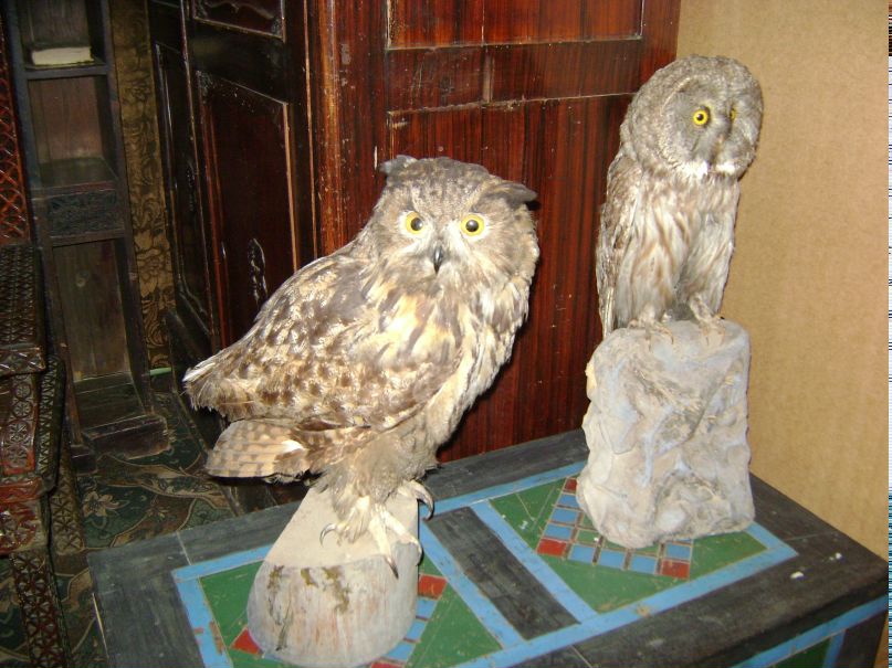 Андрей Мальков фотография #48