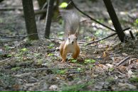 Константин Басалаев фотография #49 (источник - https://vk.com/id257097)