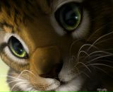 Фотография Богдановой-Кокориной Светланы