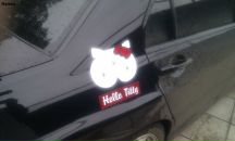 Фотография Романовичева Павла