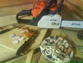 Фотография Осовская Елена