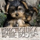 Фотография Кристина Питиримова