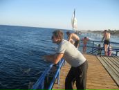 Фотография Джиоева Кирилла