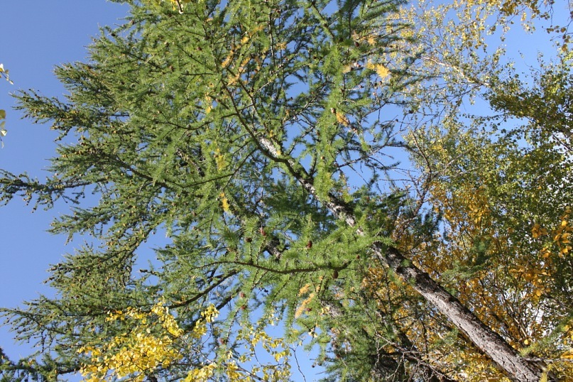 Сергей Маслов фотография #25