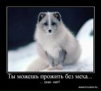 Фотография Янкович Ксюши