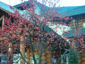 Фотография Щитовой Галины