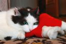 Фотография Желобовой Ольги