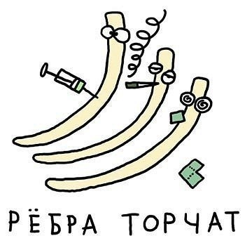 №6, Роман Конев, Санкт-Петербург №6, Роман Конев, Санкт-Петербург