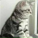 Ліля Варунок фотография #18 (источник - https://vk.com/id139573214)