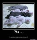 Ірина Козицька фотография #21 (источник - https://vk.com/id91039445)