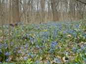 Любов Івашина фотография #36 (источник - https://vk.com/id33770246)