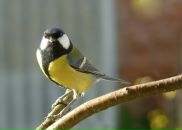 Фотография Виктора Жеглова