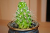 Юрій Шанський фотография #36 (источник - https://vk.com/id11090669)