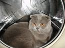 Фотография Лапутиной Леры
