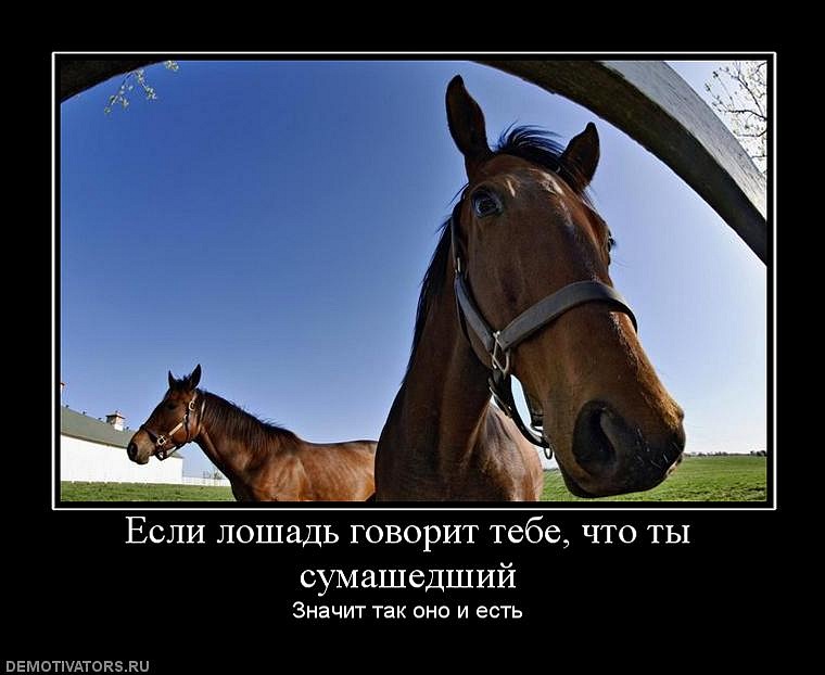 Сергей Либов фотография #40