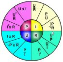 Фотография Павлова Александра