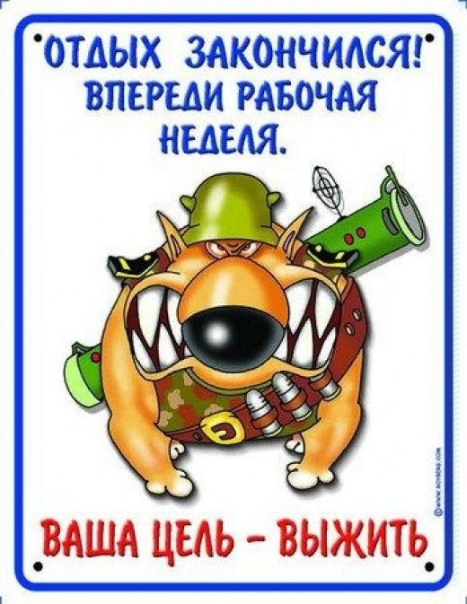 Илья Ткаченко фотография #46