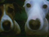 Фотография Lovepinkpandaviolett Lovewinnielalathepooh