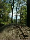 Анна Пленкова фотография #37 (источник - https://vk.com/id1463019)